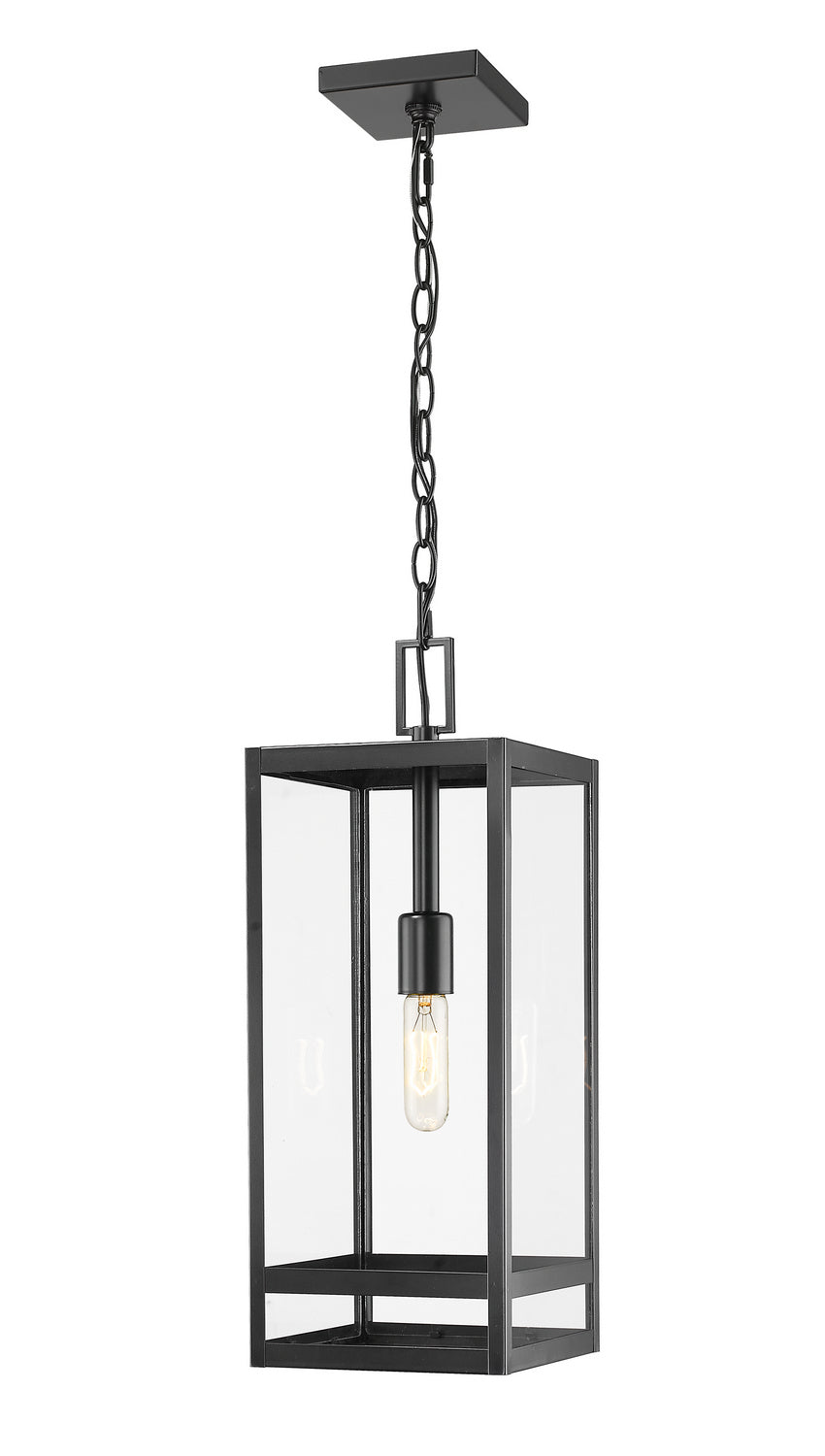 Z-LIte Nuri One Light Outdoor Chain Mount Ceiling Fixture In Black