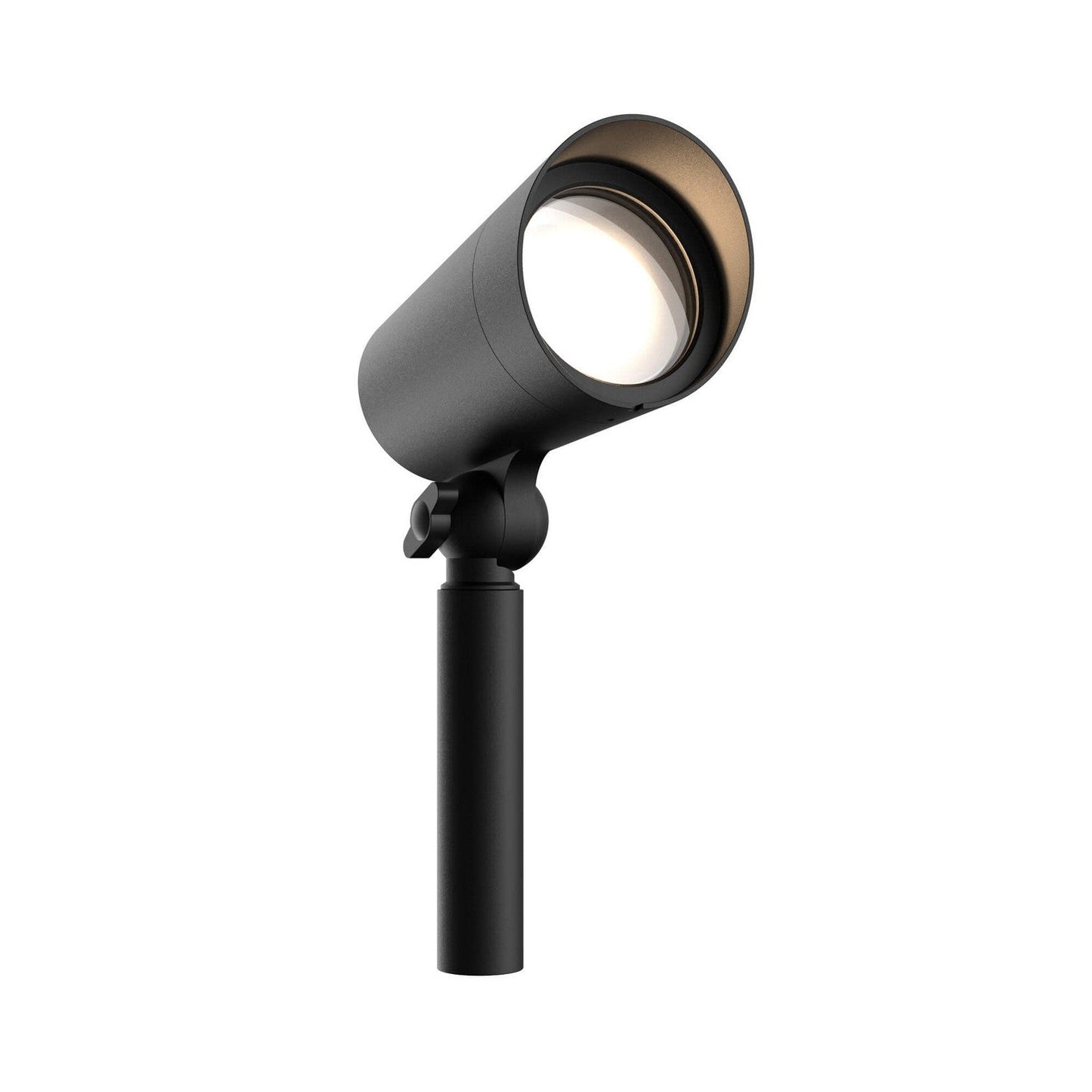 Landscape Spotlight In Black