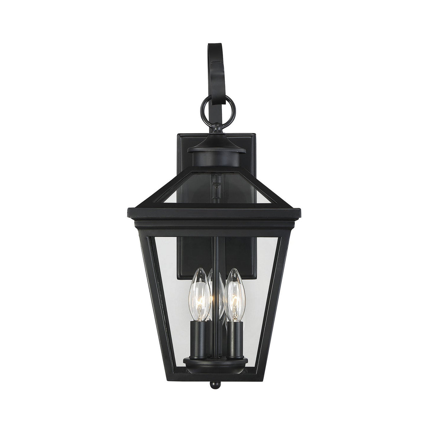 Ellijay 3-Light Outdoor Wall Lantern