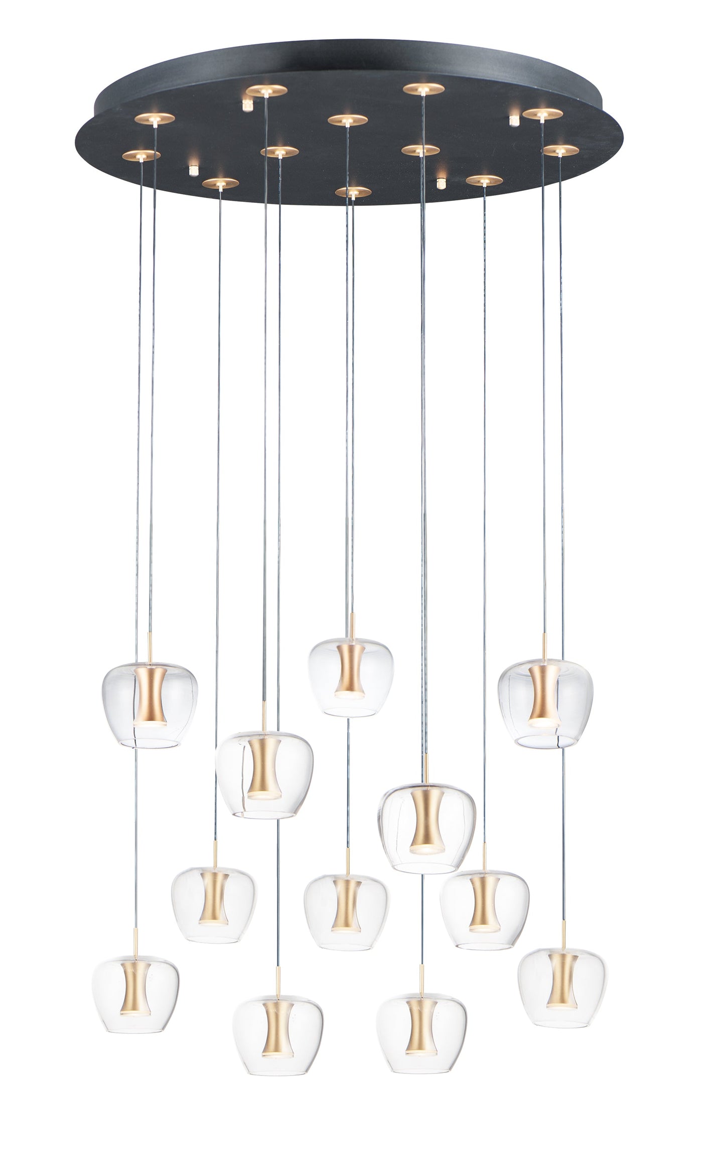Newton 12-Light LED Pendant In Black & Gold
