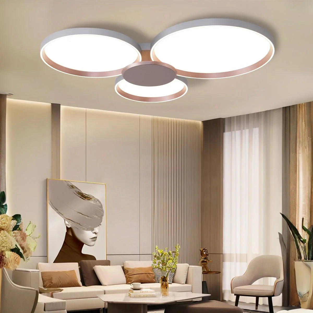 Ceiling Mounts