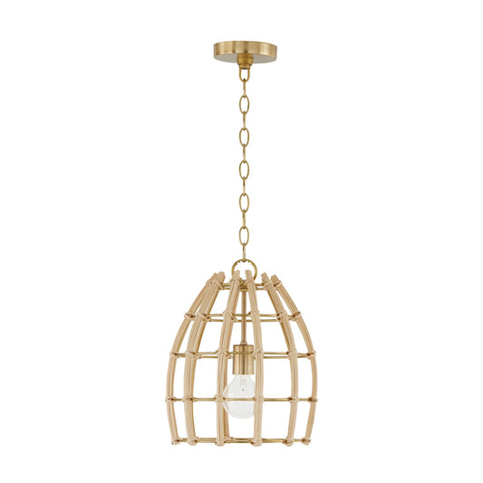  Wren 1-Light Pendant In Matte Brass