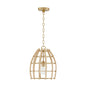  Wren 1-Light Pendant In Matte Brass