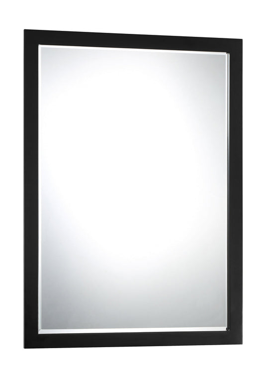  Paradox Mirror In Coal