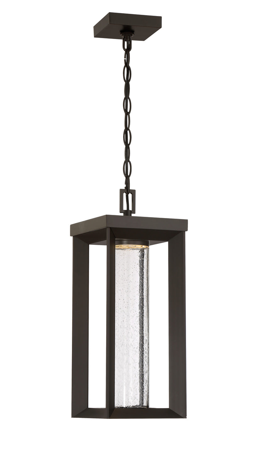  Shore Point LED Chain Hung