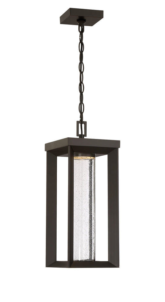  Shore Point LED Chain Hung