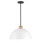  Gigi 1-Light Pendant In Black & Aged Brass