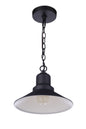  Singleton 1-Light Outdoor Pendant