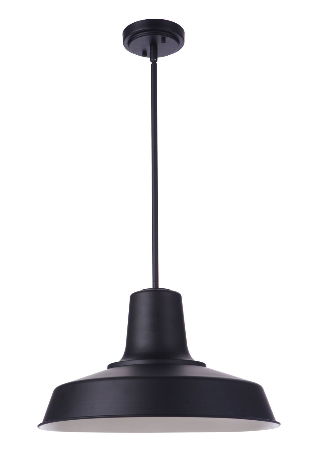  Briscoe 1-Light Outdoor Pendant