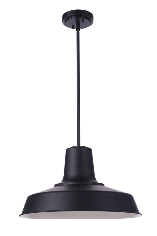  Briscoe 1-Light Outdoor Pendant