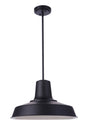  Briscoe 1-Light Outdoor Pendant