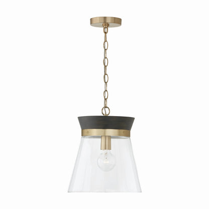  Finn 1-Light Pendant