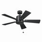  Lucian II 42" Ceiling Fan