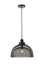  Warren 1-Light Pendant