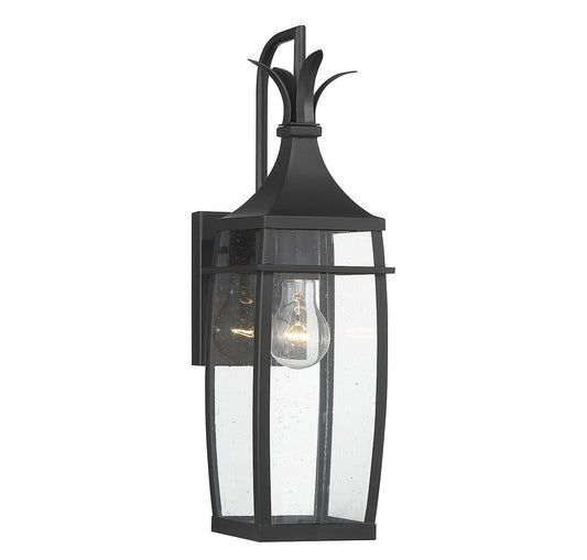  Montpelier 1-Light Outdoor Wall Lantern
