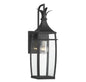 Montpelier 1-Light Outdoor Wall Lantern