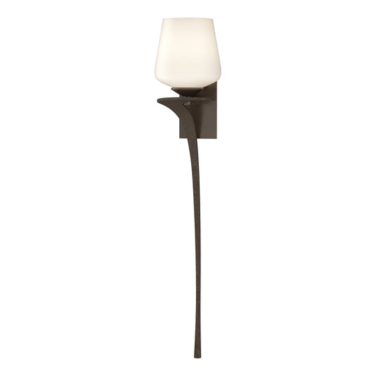  Antasia Single Glass 1 Light Sconce