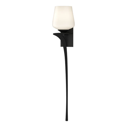  Antasia Single Glass 1 Light Sconce