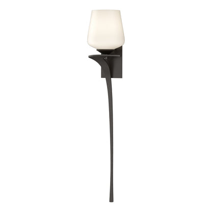 Antasia Single Glass 1 Light Sconce