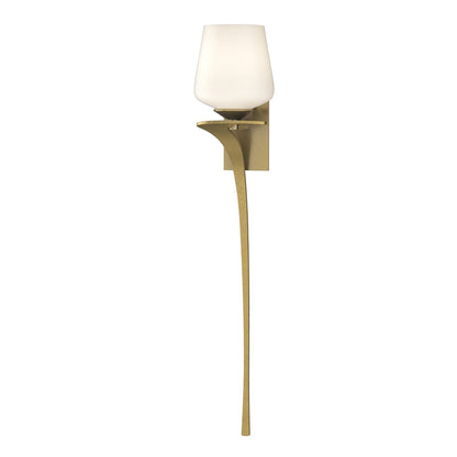  Antasia Single Glass 1 Light Sconce