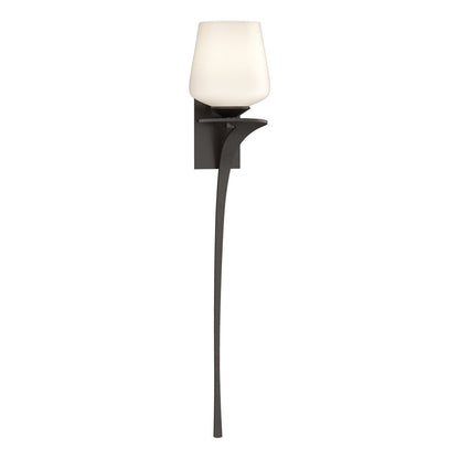  Antasia Single Glass 1 Light Sconce