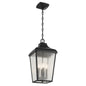  Forestdale 4-Light Outdoor Pendant In Textured Black