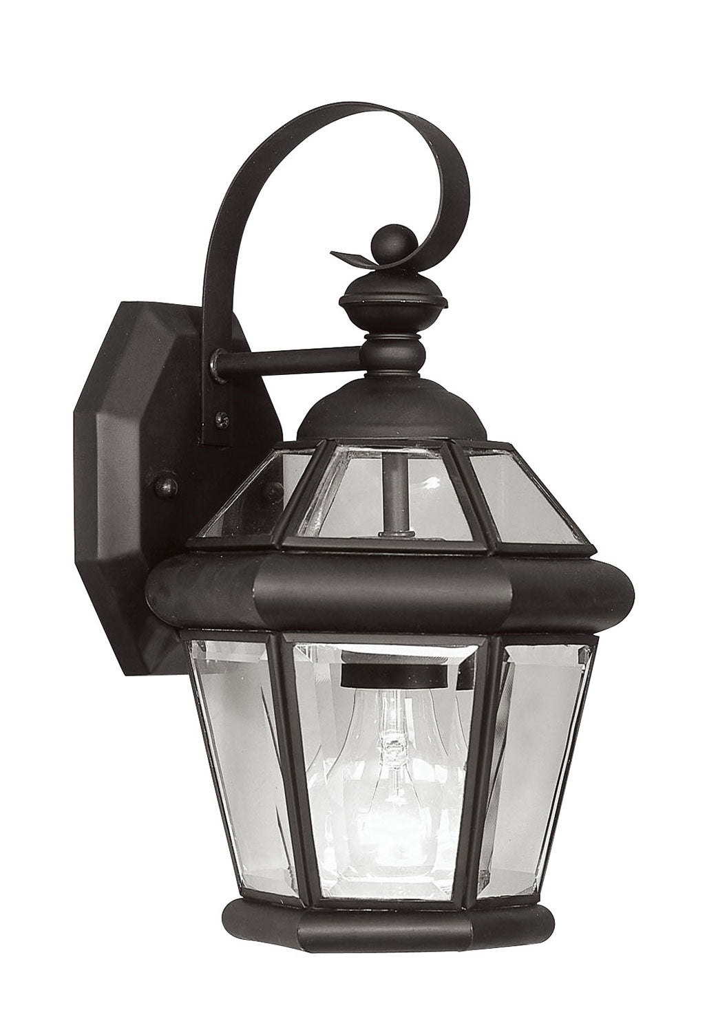 Livex Lighting Georgetown 1-Light Outdoor Wall Lantern