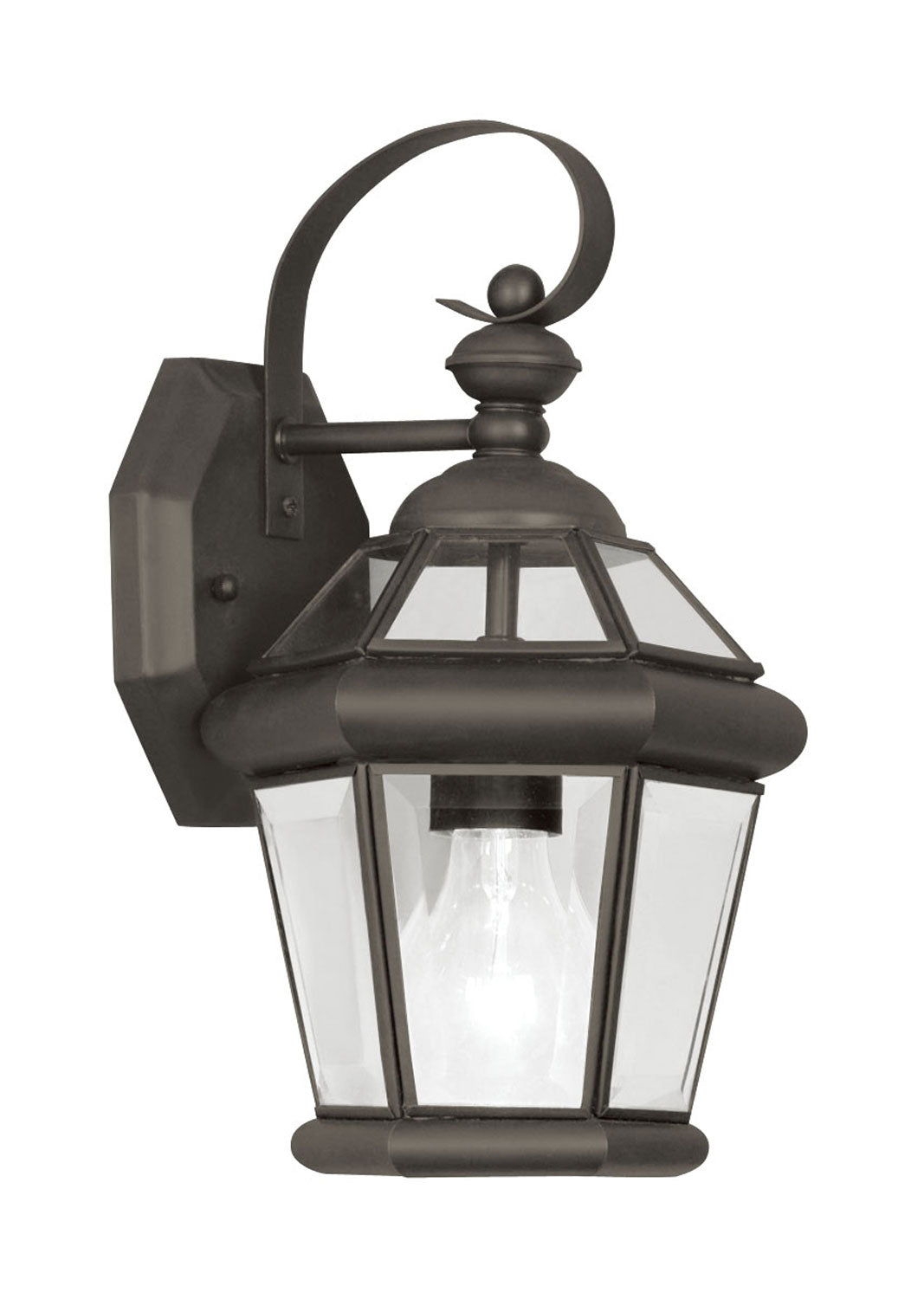 Livex Lighting Georgetown 1-Light Outdoor Wall Lantern