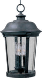 Maxim Dover Cast 3-Light Outdoor Hanging Lantern In Bronze With Seedy Glass