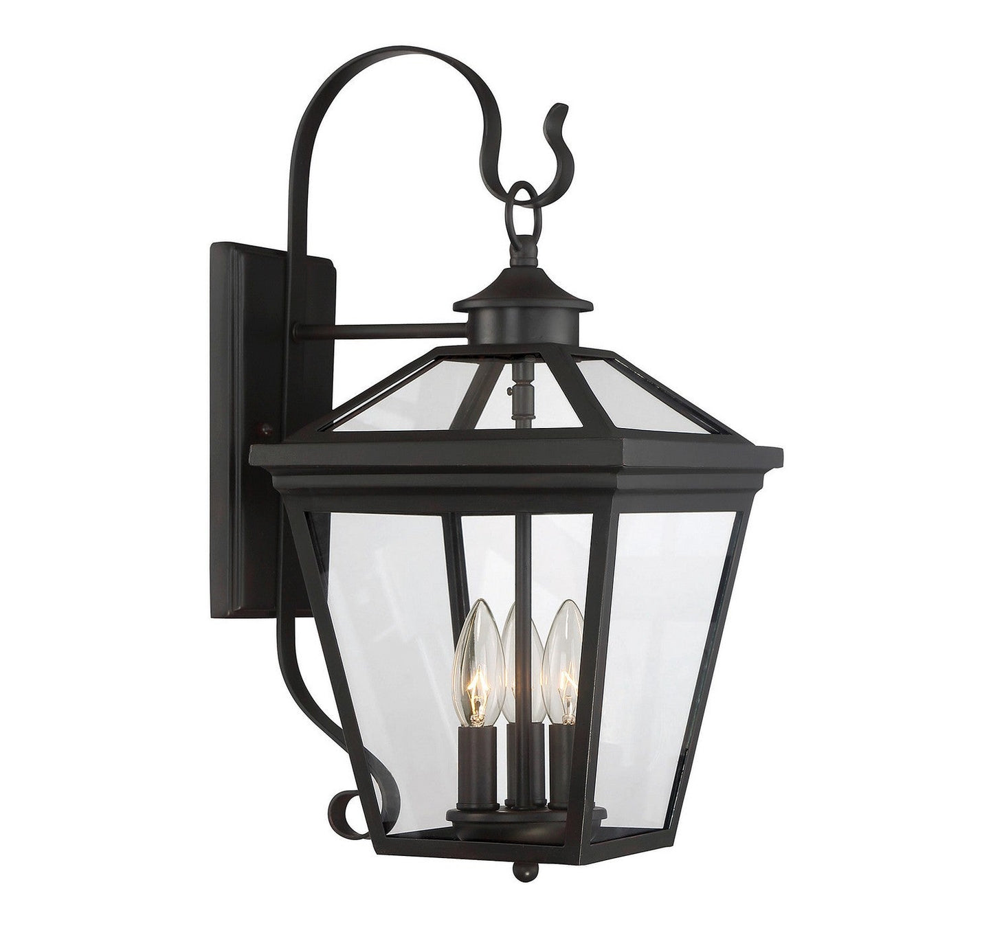  Ellijay 3-Light Outdoor Wall Lantern
