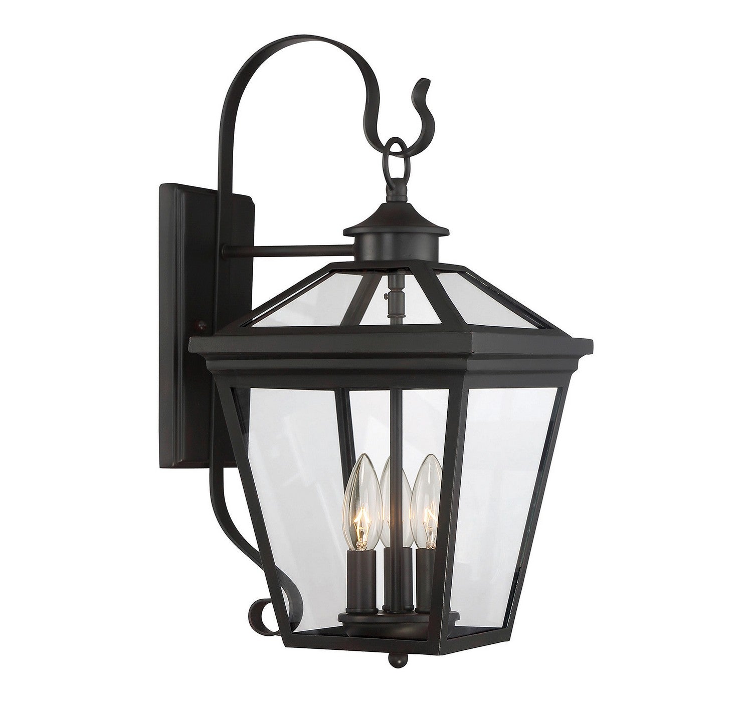  Ellijay 3-Light Outdoor Wall Lantern
