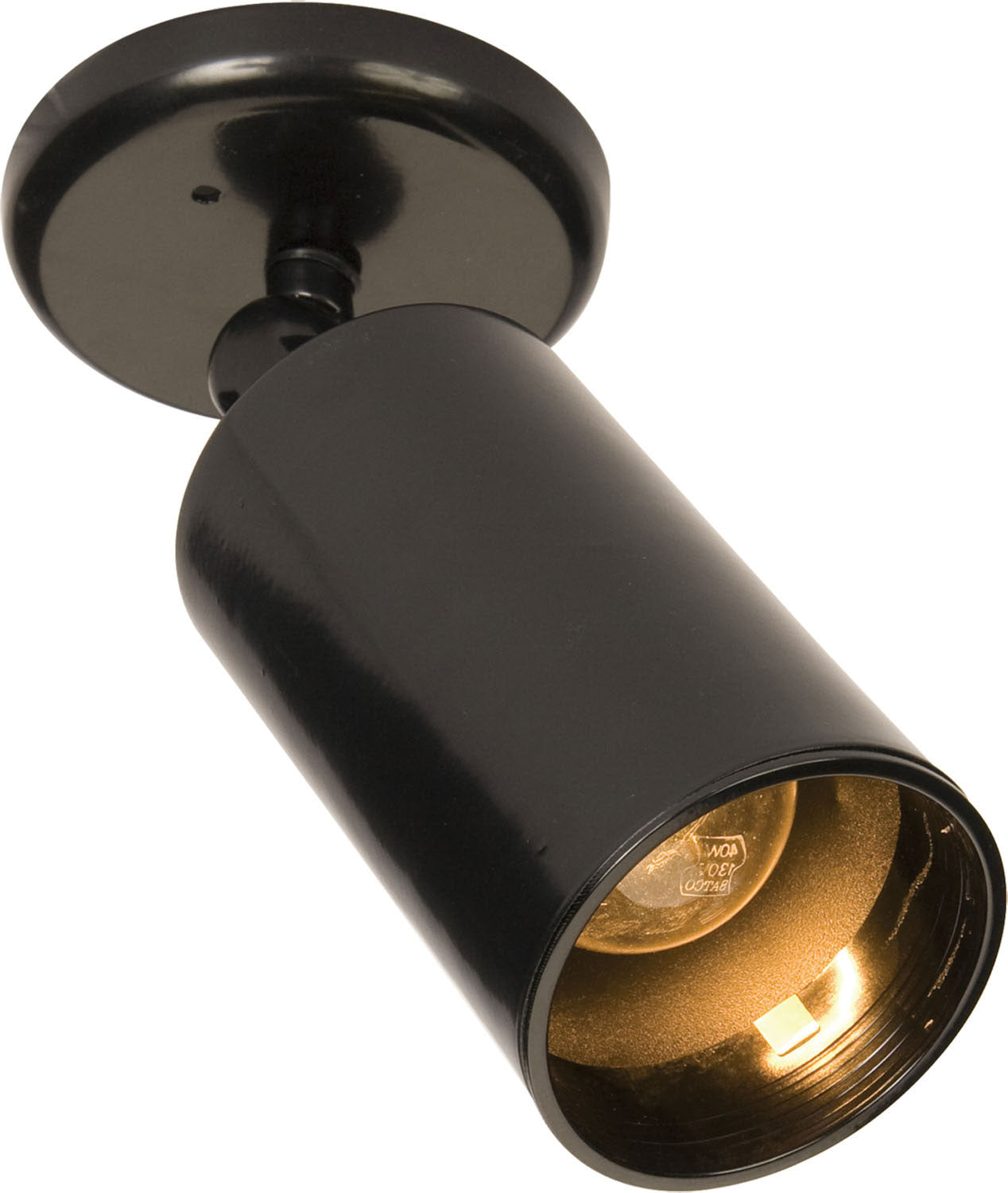 Maxim Spots 1-Light Can Wall/Flush Mount In Black