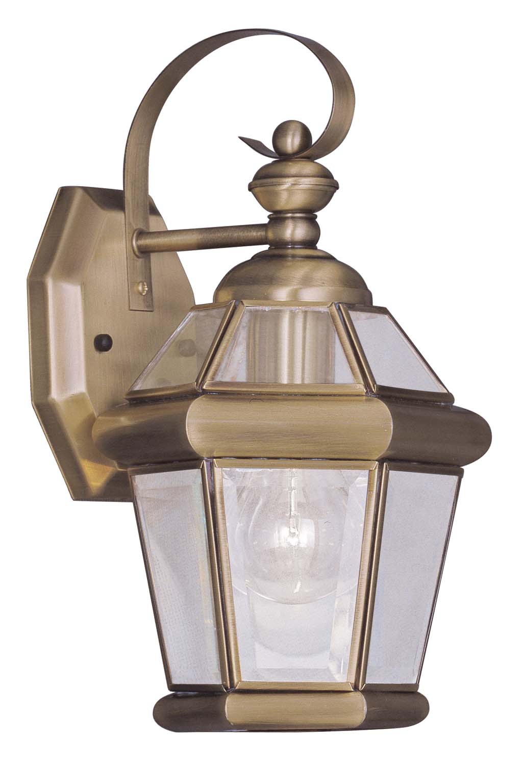 Livex Lighting Georgetown 1-Light Outdoor Wall Lantern