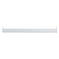  InteLED 12 LED Track Module In Aluminum Finish