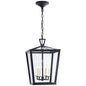  Darlana Small Hanging Lantern