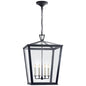  Darlana Medium Hanging Lantern