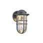  Steampunk LED Wall Light In Graphite