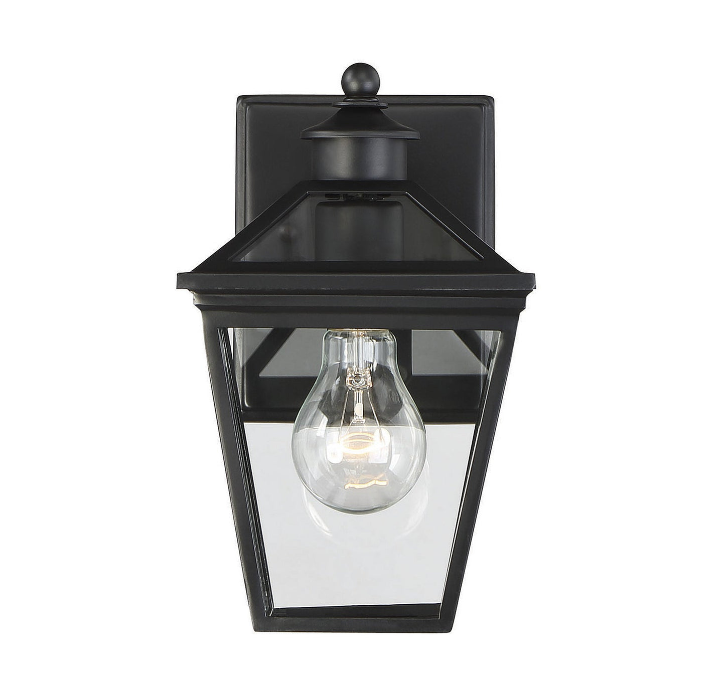  Ellijay 1-Light Outdoor Wall Lantern