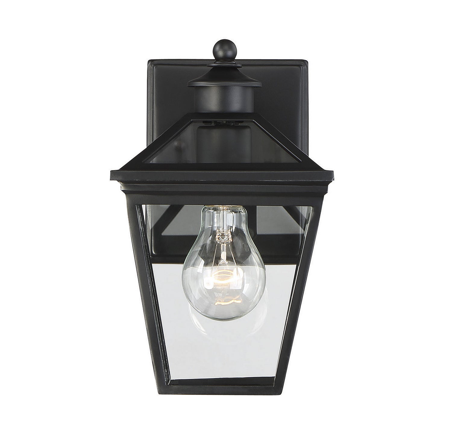  Ellijay 1-Light Outdoor Wall Lantern
