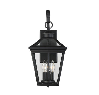  Ellijay 3-Light Outdoor Wall Lantern