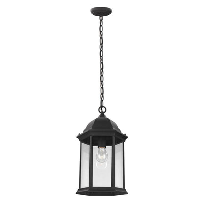  Sevier 1-Light Outdoor Pendant