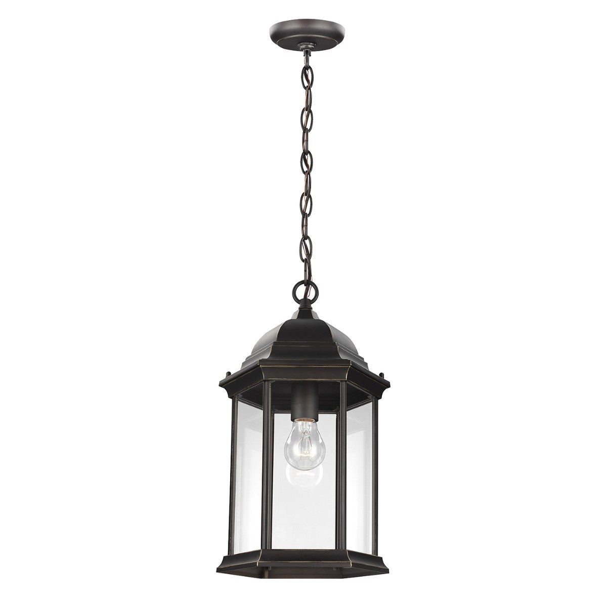  Sevier 1-Light Outdoor Pendant