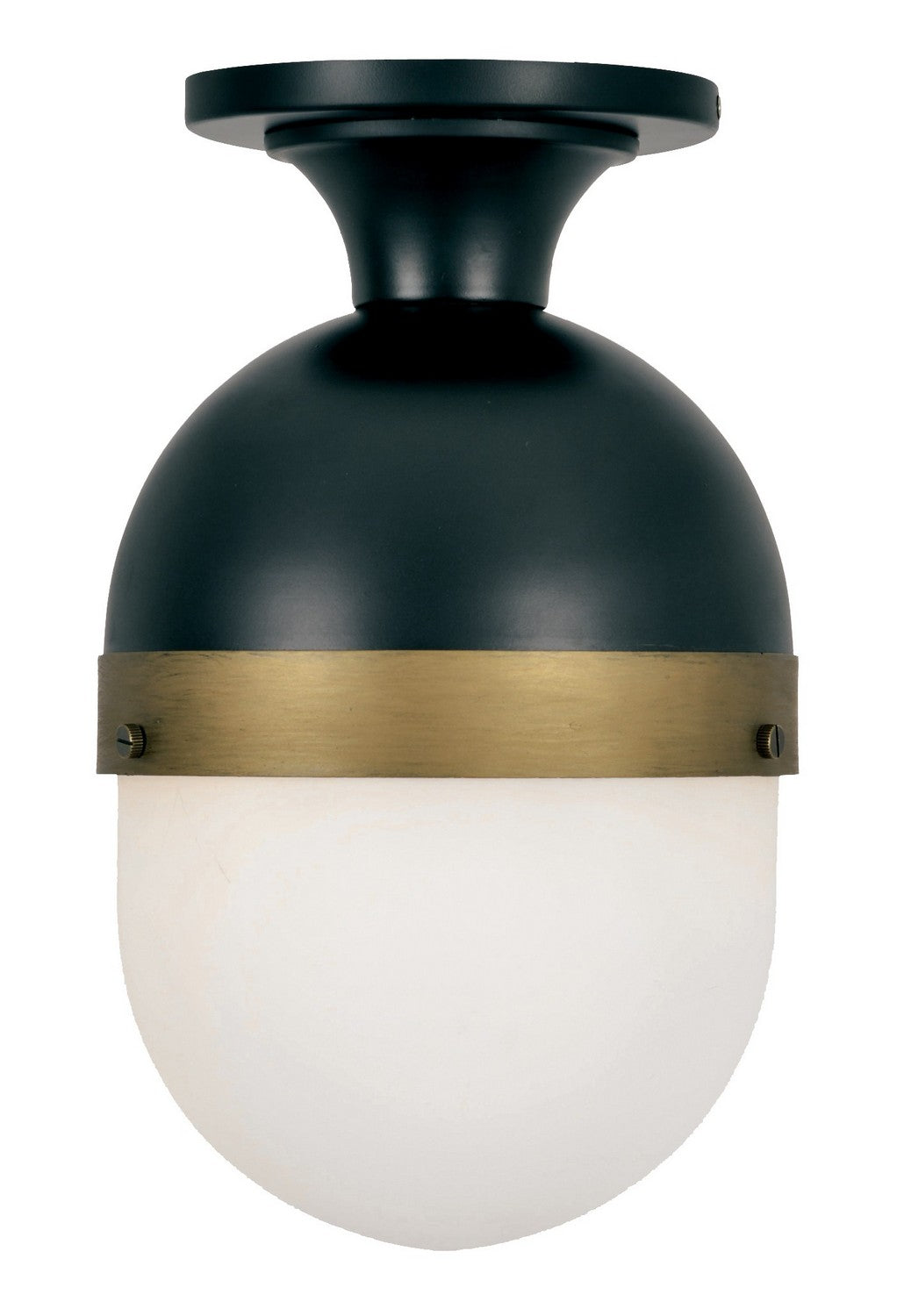 Capsule 1-Light Outdoor Ceiling Mount In Matte Black & Textured Gold