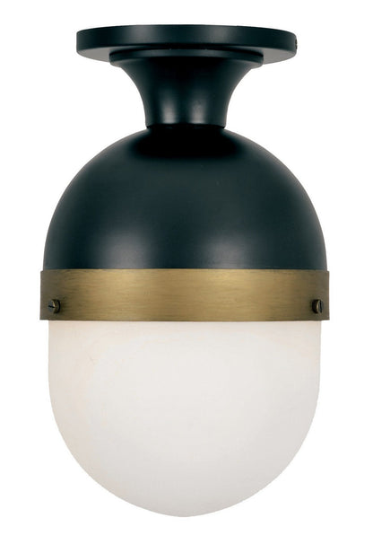  Capsule 1-Light Outdoor Ceiling Mount In Matte Black & Textured Gold