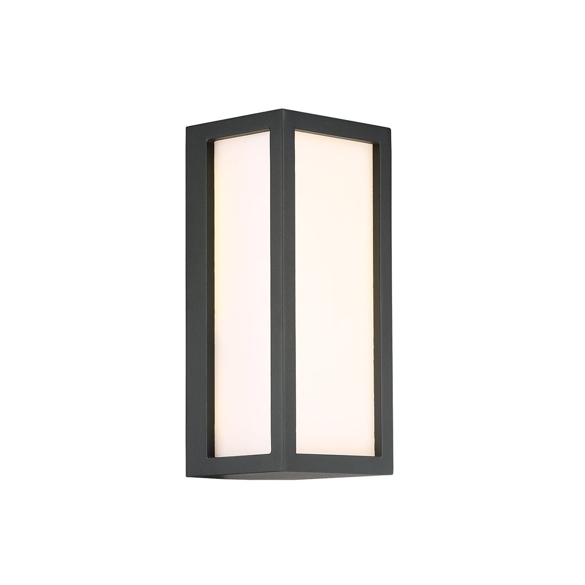  1-Light Outdoor Wall Mount In Graphite Grey