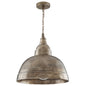  Sedona 1-Light Pendant In Oxidized Nickel
