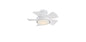  Vox 26" Ceiling Fan In Matte White