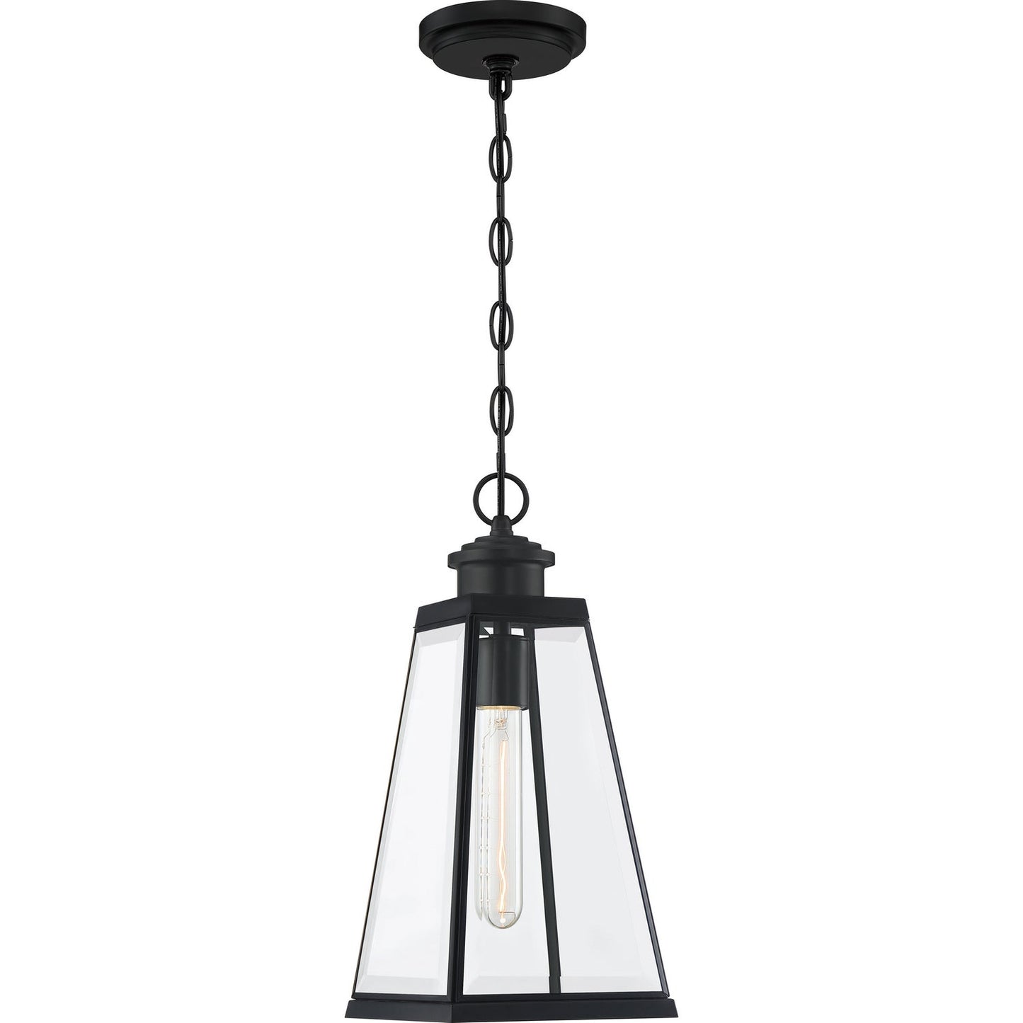  Paxton 1-Light Outdoor Lantern In Matte Black