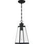  Paxton 1-Light Outdoor Lantern In Matte Black
