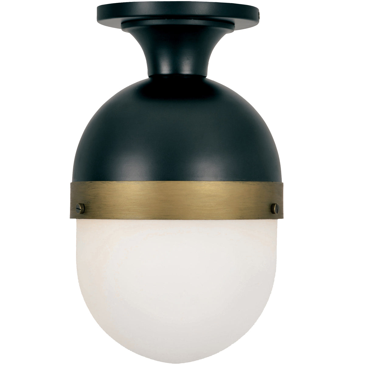  Capsule 1-Light Outdoor Ceiling Mount In Matte Black & Textured Gold